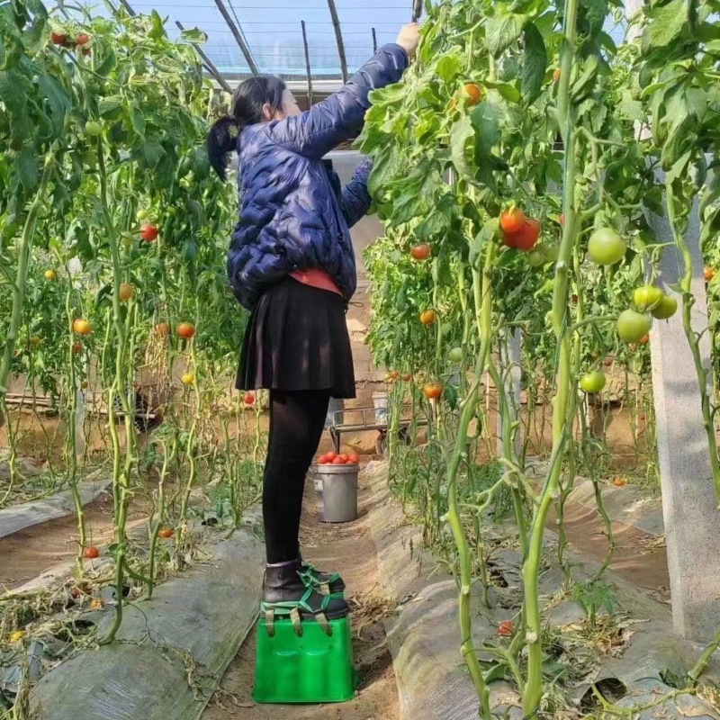 Tabouret rehausseur pour trava - Agriculture Farming Shoes avis et prix