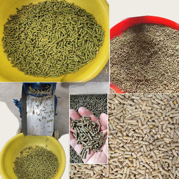 Machine à granulés pour alimen - Wood Pellet Making Machine avis et prix