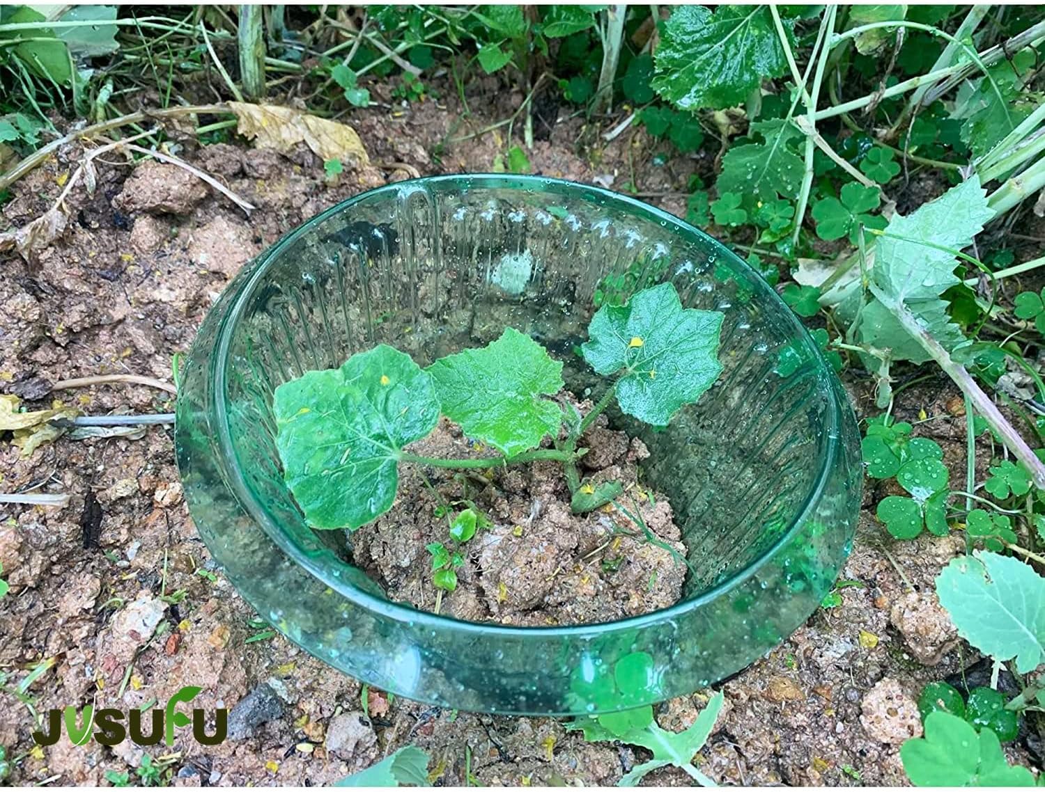 1/30 pièces Anneaux de protect - Vegetable Transplanter avis et prix