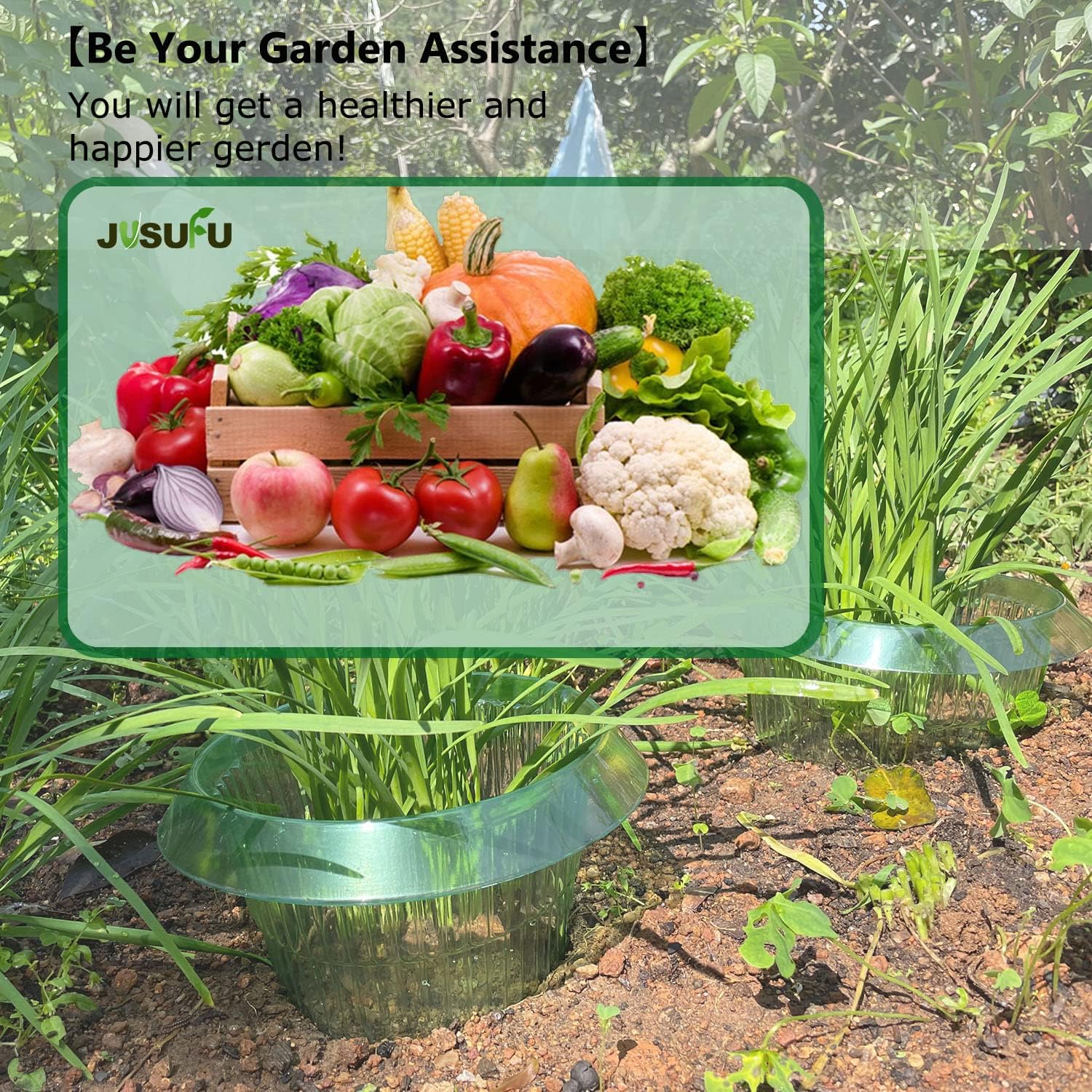 1/30 pièces Anneaux de protect - Vegetable Transplanter avis et prix