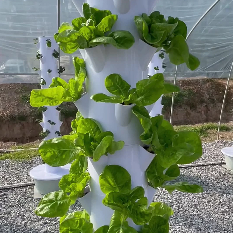 Avec Led élèvent la lumière es - Vegetable Transplanter avis et prix