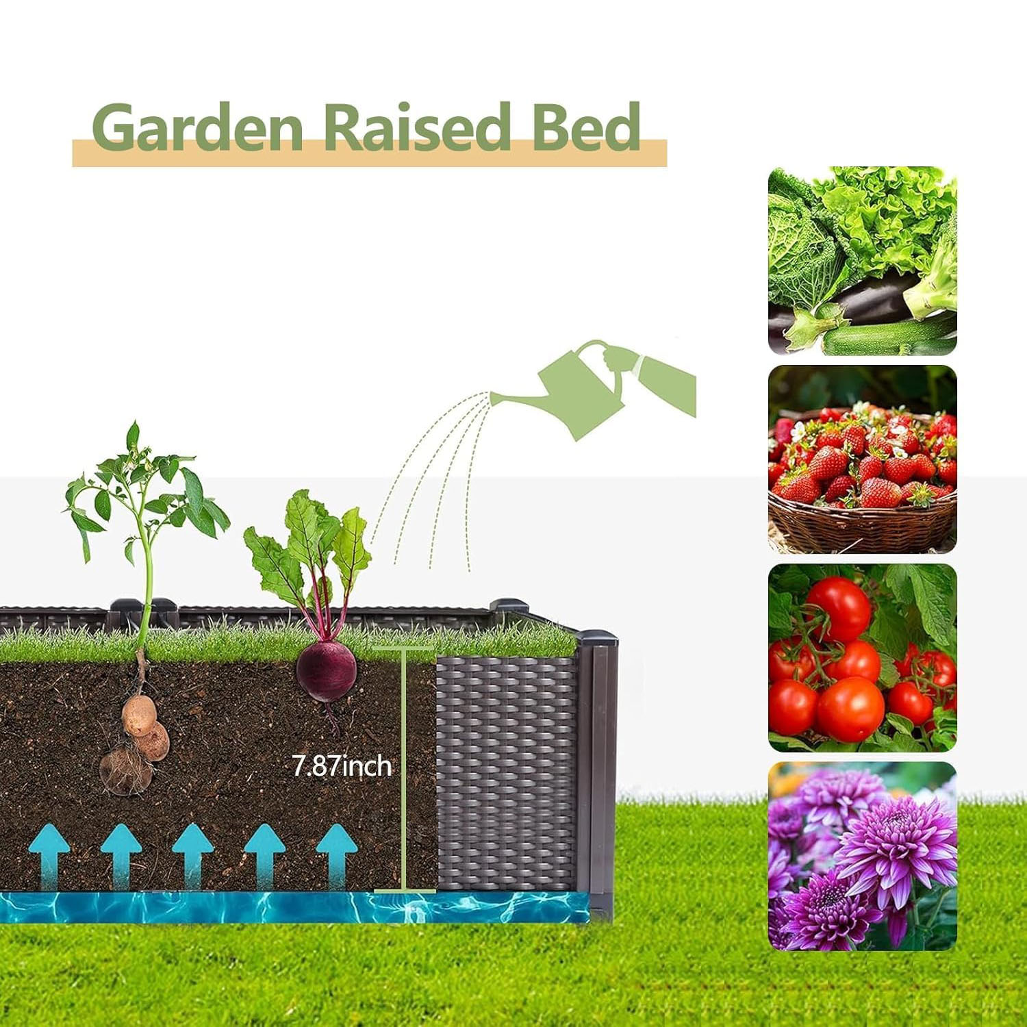 Bac de jardin surélevé auto-ar - Vegetable Transplanter avis et prix