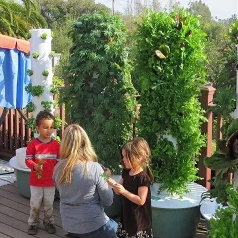 Tour de culture hydroponique v - Vegetable Transplanter avis et prix