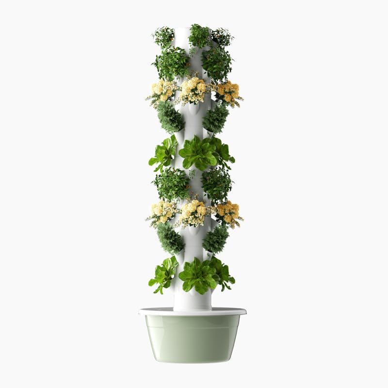 Tour de culture hydroponique v - Vegetable Transplanter avis et prix